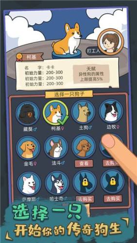 狗生模拟器苹果版游戏截图2