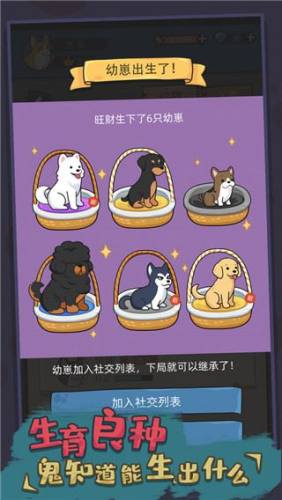 狗生模拟器苹果版游戏截图1