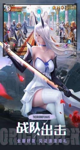 混沌起源小米版游戏截图3