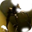 暗房backrooms游戏