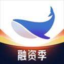 鲸准app