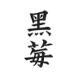 黑莓浏览器最新版